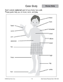Human Body: Skeletal and Muscular Systems