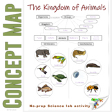 Kingdom of Animals Classification Concept Map Invertebrates and Vertebrates