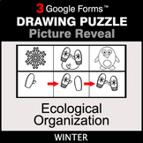Winter: Ecological Organization - Drawing Puzzle | Google Forms