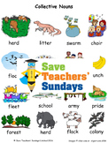 Collective nouns worksheets and activity