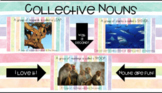 Collective Nouns Presentation
