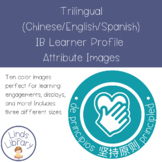 Trilingual IB Learner Profile Attribute Images- Chinese/English/Spanish (Color)