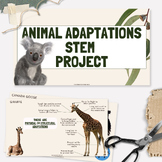 Animal Adaptations STEM Project