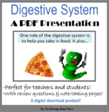Digestive System Presentation Notes
