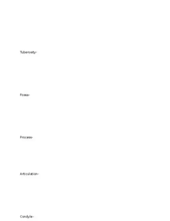 26402-exercise-science-anatomical-position-amp-skeletal-system-unit-1.jpg