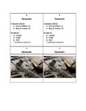 5.9 (ABC)  CHANGES TO ECOSYSTEMS INVESTIGATION