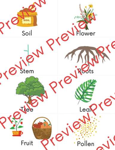 32 Garden/Plant Themed Write the Room Word Package