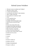 Skeletal System Worksheet Questions