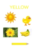 YELLOW POSTER