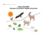 Create a food web!