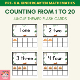 Practice Counting 1-20 Flashcards Jungle Theme