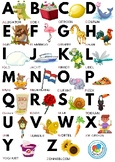 Dutch Alphabet with Pictures and Words for Children