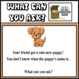 What Can You Ask? Asking Questions Autism ABA