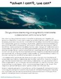Shark Week Affirmation Mobile - Collaboration