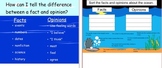 Ocean Fact & Opinion Lesson