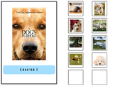 A DogÂ¡Â¯s Purpose Â¨C Full Adapted Book Bundle | Special Education | Matching Icons