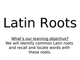 Latin Word Roots Group Activity
