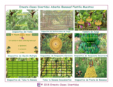 Adverbs Bananas Spanish PowerPoint Game