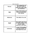 Parts of an Ant Matching Cards