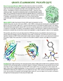 Green Fluorescent Protein Article, Questions, Key