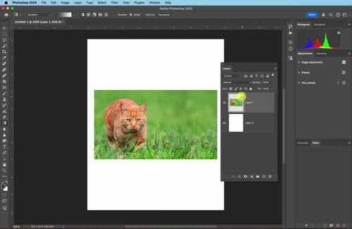 Unit 2 - Project 3 - DSLR Photography Â¨C Photoshop Tutorial D: Layers Part 1