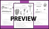 2.MD.9 Worksheets & Assessment Test: Using Line Plots Display Measurement Data