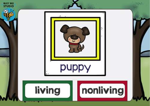 LIVING VS NONLIVING SORT KINDERGARTEN 1ST GRADE SCIENCE BOOM CARDS CATEGORY SORT