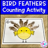 Counting Bird Feathers Activity | Counting to 10