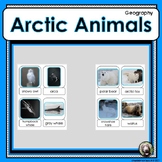Arctic Animals