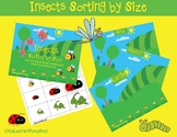 Insects Sorting by Size