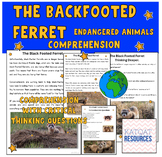 The Black-Footed Ferret - Comprehension and Critical Thinking Skills