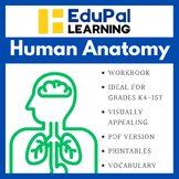 Human Anatomy Workbook: K4-1st Grades