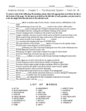 The Muscular System - High School Anatomy - Matching Worksheet - Form 3