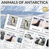 15 Animals of Antarctica Montessori 3 Part Cards & Information