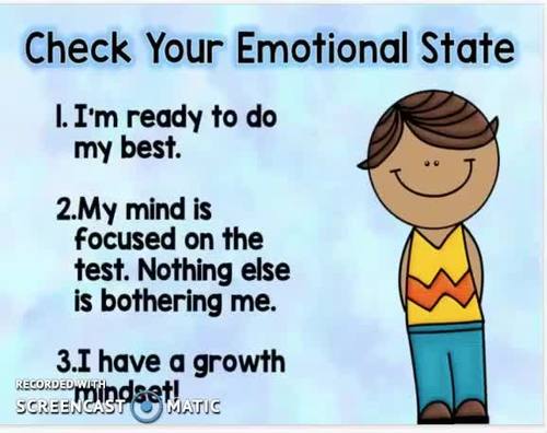 Test Prep Strategies Lesson and Flipbook for End of Year and State Testing