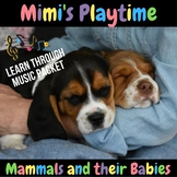 Mammals and their Babies Learning Packet (Complete)