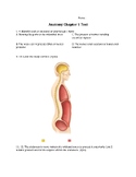 Test for Anatomy Ch1 Body Orientation