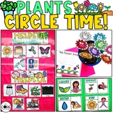 Plants Circle Time Activities for Preschool-Spring Group Activities