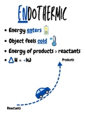 Endothermic/Exothermic Anchor Charts