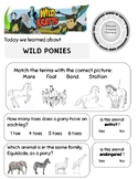 Wild Ponies Wild Kratts Worksheet about Wild Horses
