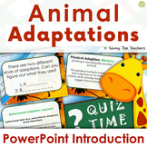 Animal Adaptations PowerPoint