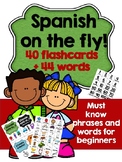 Spanish Flashcards for Beginners