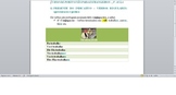 PORTUGUESE LESSON -  Presente do Indicativo