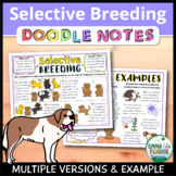 Selective Breeding Doodle Notes Worksheet Review - Artificial Selection Activity