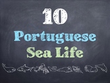 10 Common Portuguese Sea Life PowerPoint