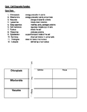 Cell Organelle Function Vocabulary/Quiz