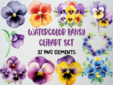 Watercolor Pansy Clipart Set, Flower Clipart