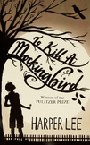 To Kill a Mockingbird Chapter Questions