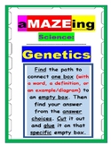 Genetics with Punnett Square aMAZEing Science