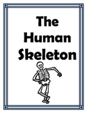 SKELETAL SYSTEM UNIT